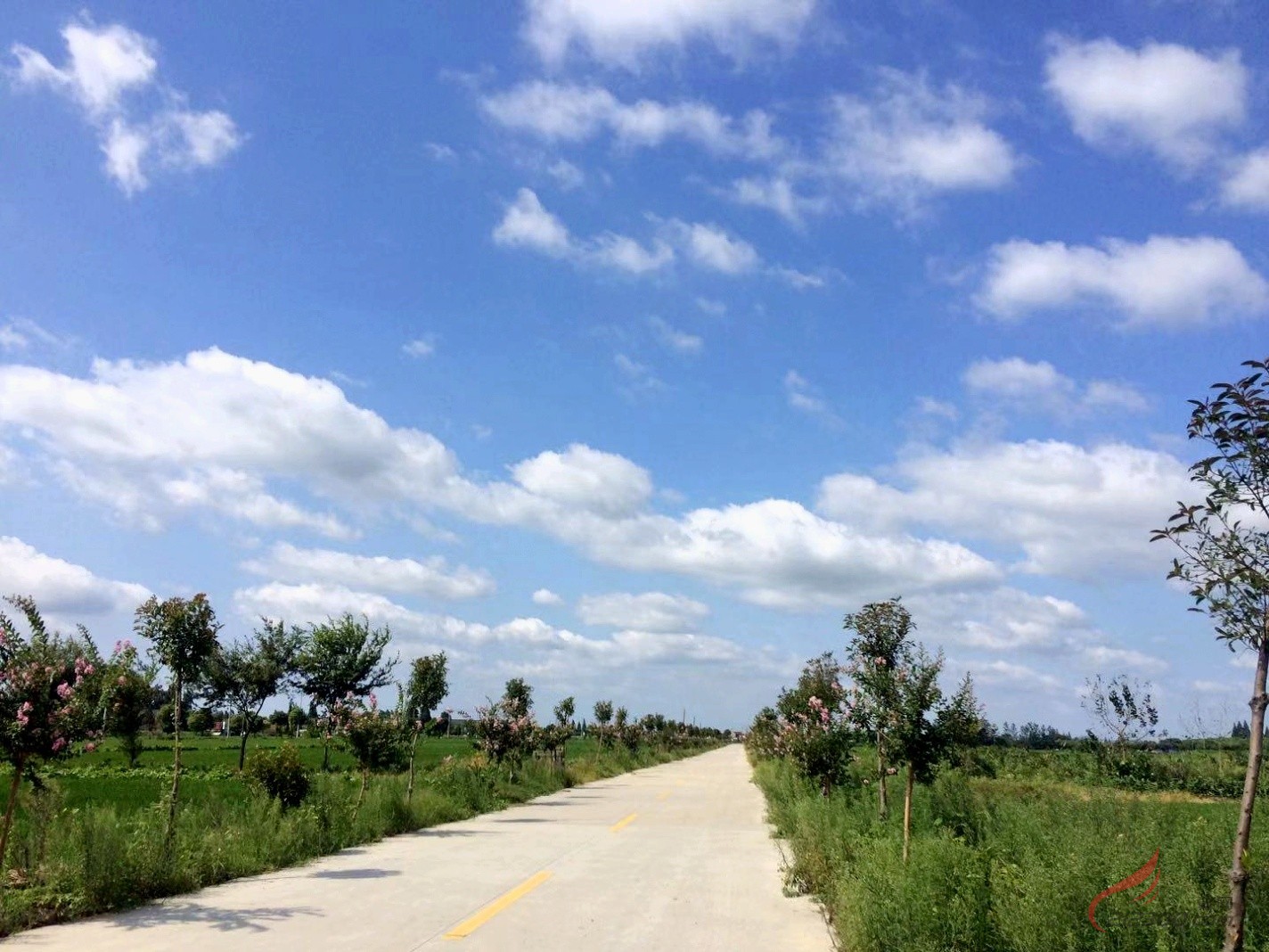 �S�������ա���Ұ�ϵ��{(l��n)����ƣ�